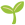 naturheilkunde